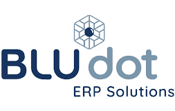 BLU dot ERP Solutions